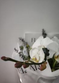 我的未婚妻01漫画