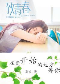 在爱开始的地方等你 在爱开始的地方等你