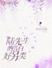 陆先生的告白好另类 陆先生的告白好另类